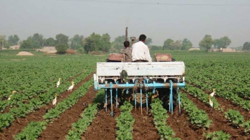 Agri Loans Scheme: Punjab government to expand scope