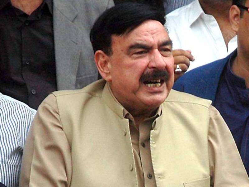 Tehmina Durrani playing role to get NRO for Shehbaz: Sheikh Rashid