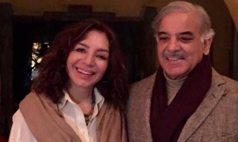 Tehmina Durrani seeking NRO for Shahbaz Sharif