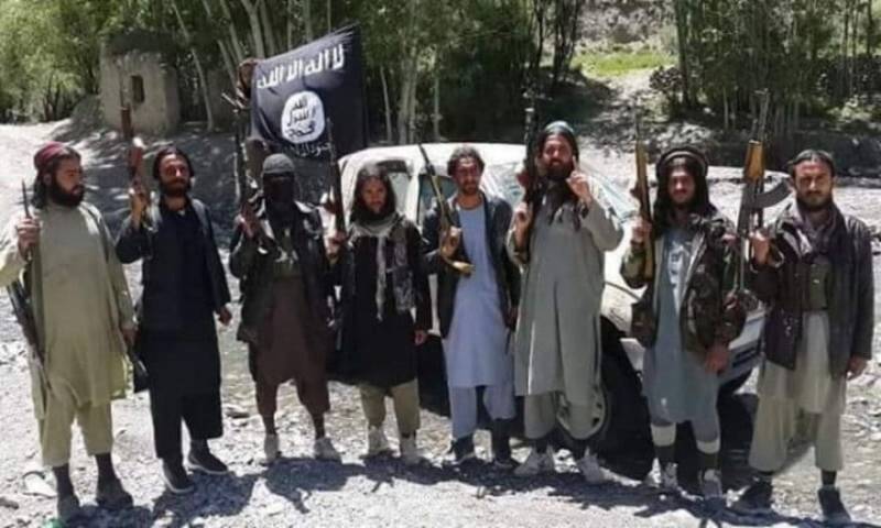 Afghan Taliban kill Daesh terrorists in Kunar near border with Pakistan