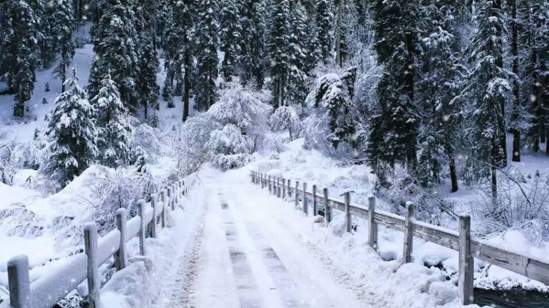 New spell of snowfall continuing in hilly areas