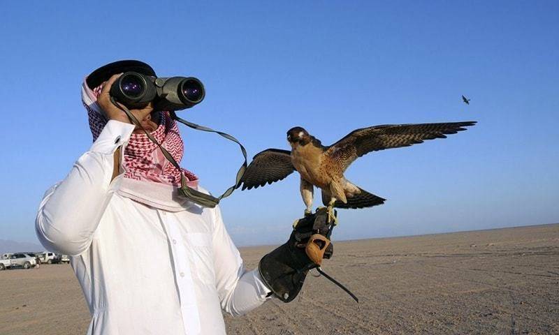 Saudi Prince arrives in Chaghi for Houbara Bustard hunting