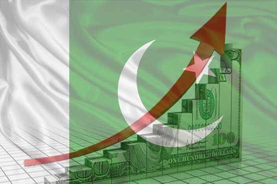 Pakistan's economy rises to $313 billion: Report