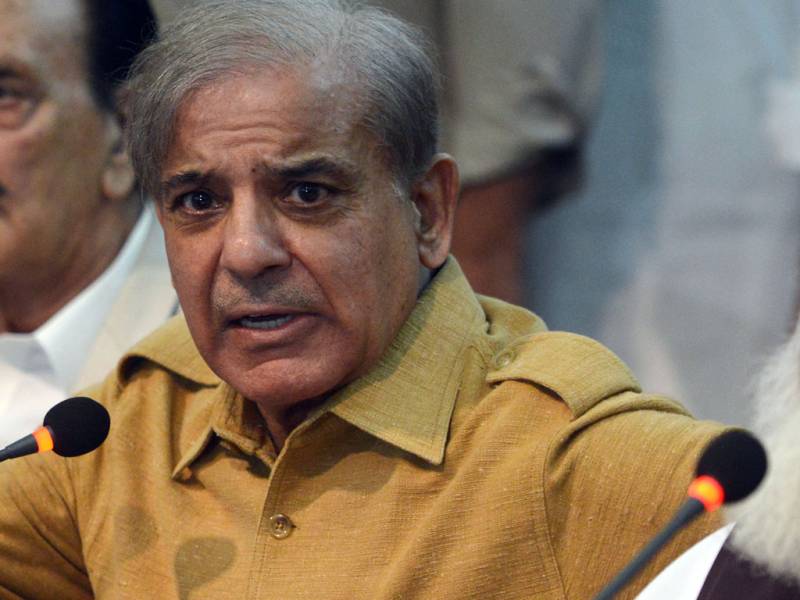 Shehbaz Sharif should resign from Chairman of PAC: Naeem