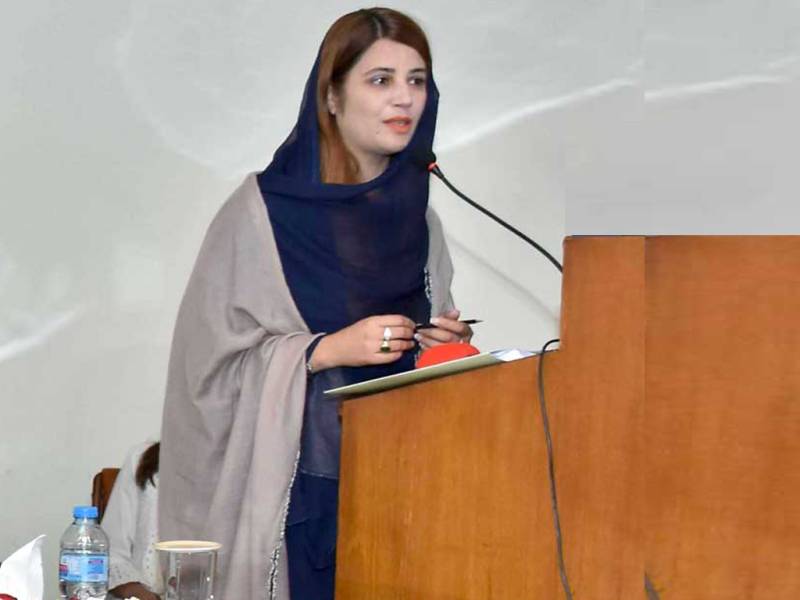 PTI govt working for human investment, tourism promotion: State Minister