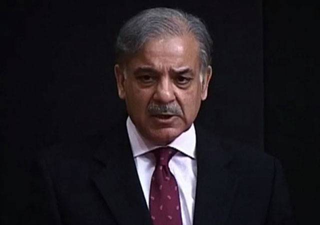Sensational details of hidden properties of former CM Shahbaz Sharif and his wives: NAB sources