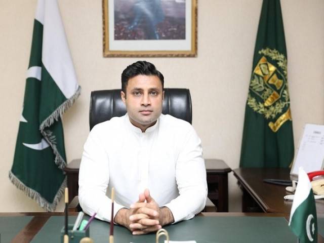 Govt providing conducive environment to overseas for investment: Zulfiqar Bukhari