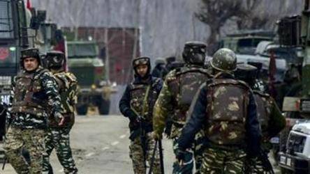 India responds over Pakistan's reply on Pulwama attack dossier