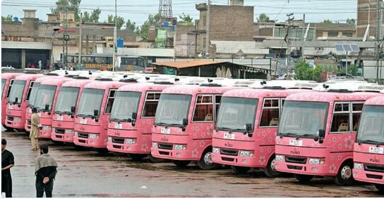 Pink Bus Service launched in KP