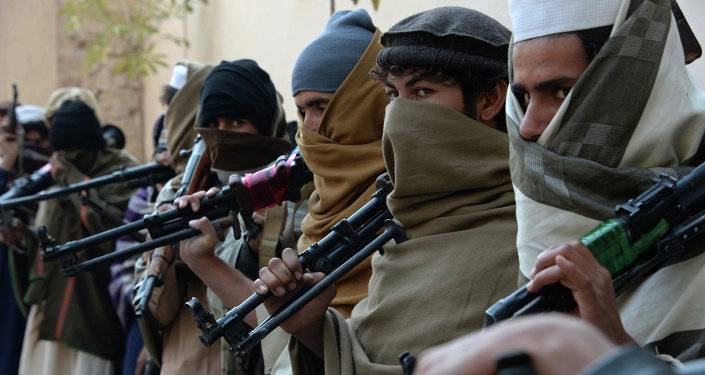 Afghan Taliban responds to Ramzan ceasefire calls in Afghanistan