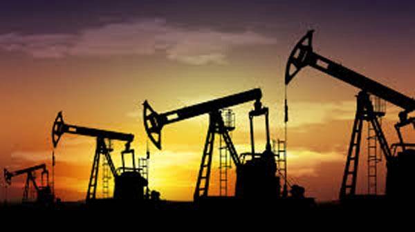 Pakistan's domestic crude oil production registers growth