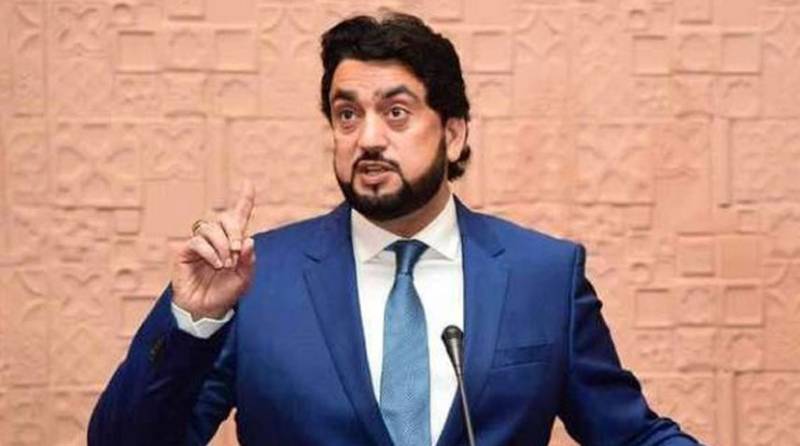 Elements involved in violating law, constitution not to be spared: Shehryar Afridi