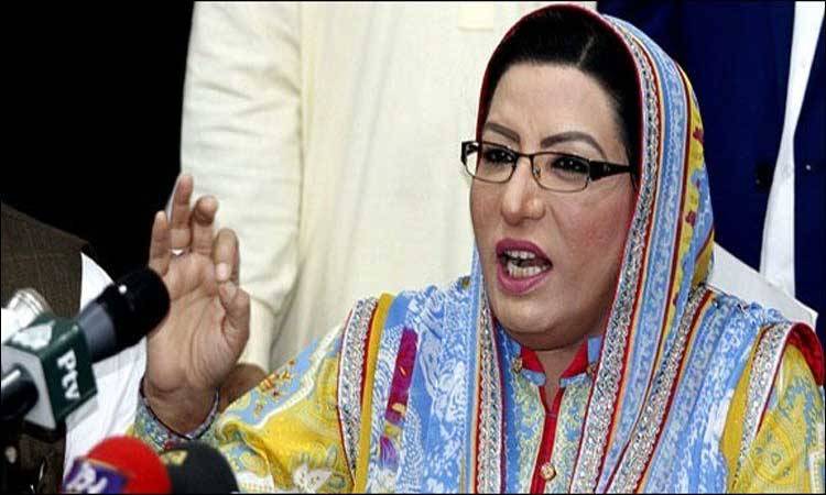 Comprehensive strategy to be devised to address problems being faced by film industry: Firdous