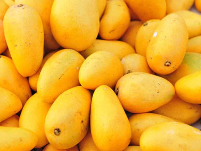 A good news for Pakistani mango exporters from China