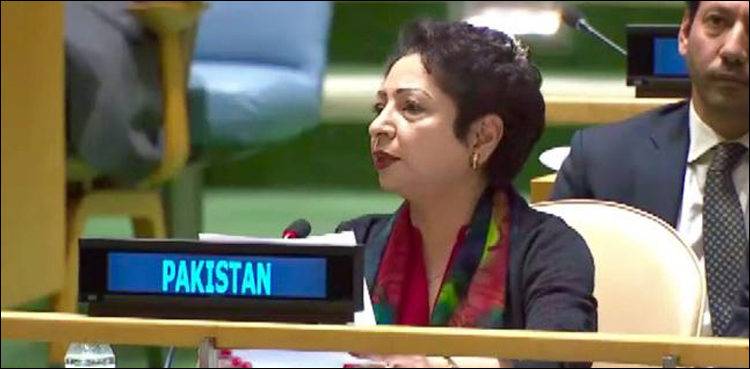 Pakistani Ambassador Maleeha Lodhi exposes Indian nefarious designs in Occupied Kashmir