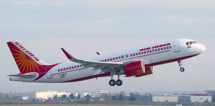 Air India flight comes under Bees attack just before take off