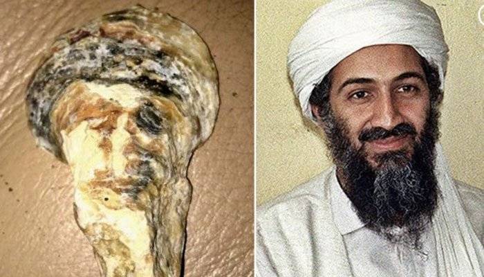 British woman claimed finding Al Qaeda chief Osama Bin Laden