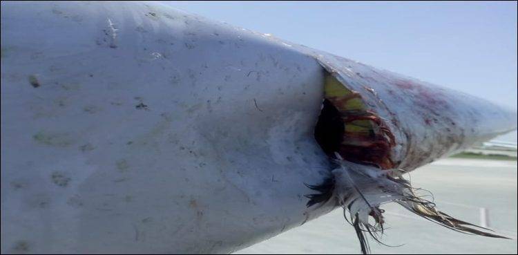 Private Airlines plane narrowly escapes disaster at Peshawar Airport, emergency landing made