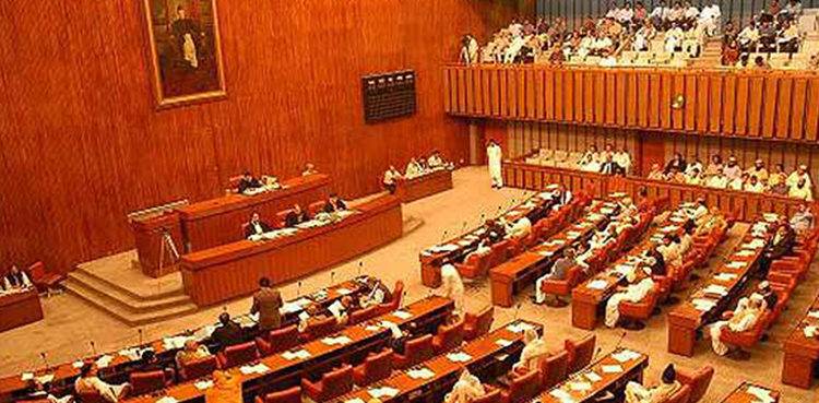 Pakistan Senate Committee passes resolution against US