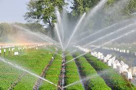 Rs 17,470 mln allocated for irrigation