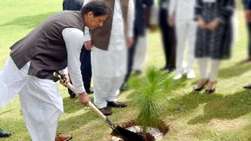 PM to inaugurate Monsoon Tree Plantation campaign in Kahuta today July 17, 2020