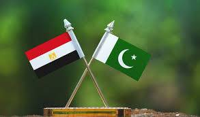 Pakistan, Egypt agree to increase cooperation in IT field july 28, 2020