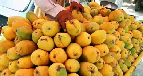 Good news for the Pakistani Mangoes exporters