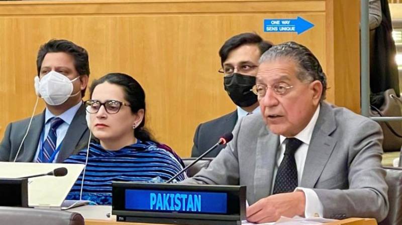 A diplomatic success for Pakistan at the UN General Assembly