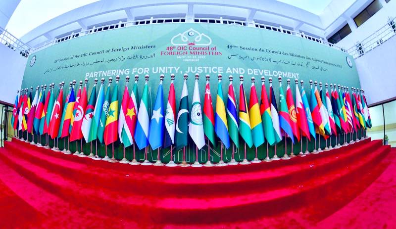 OIC approved multiple projects of various domains for member states