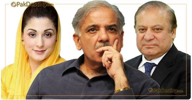 22 members dissent bloc emerged in PMLN