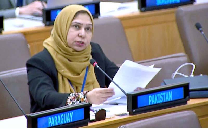 Pakistan yet again strongly raises Islamophobia at the top UN forum