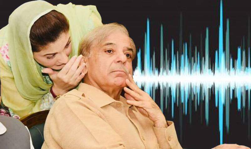 Audio leak between Shahbaz Sharif and top PM Office official stirs a new controversy