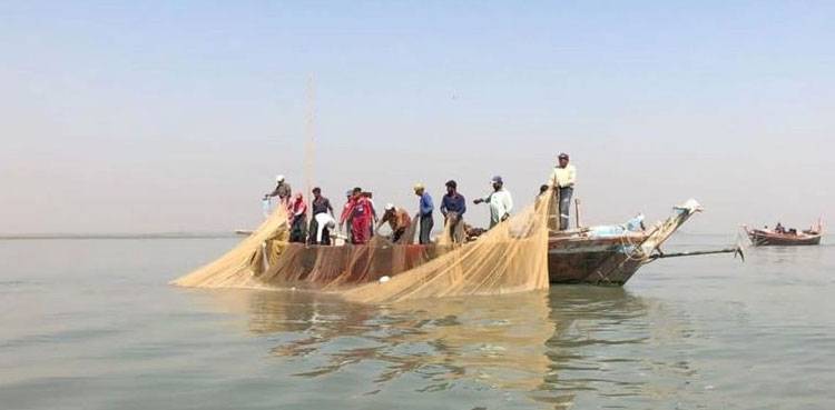 Pakistani fishermen released from Indian jail after completing prison term