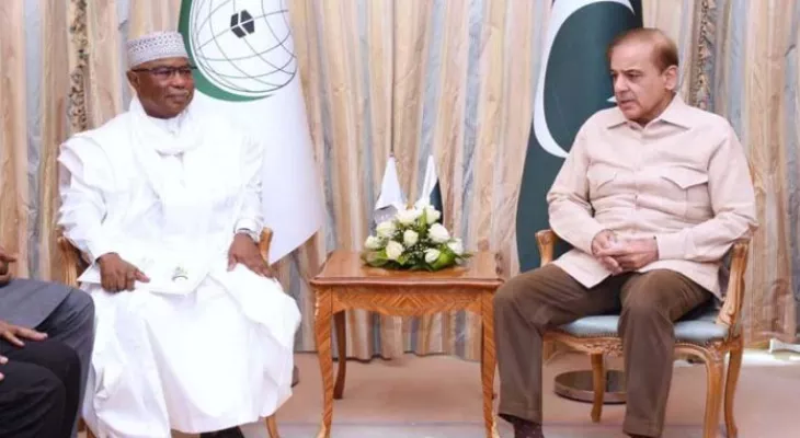 Pakistan to chalk out strategy against Islamophobia in connection with OIC