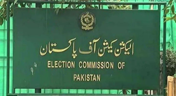 ECP asks government to remove caretaker ministers