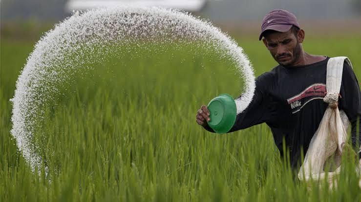 Urea Fertilizer Prices register massive increase across Pakistan