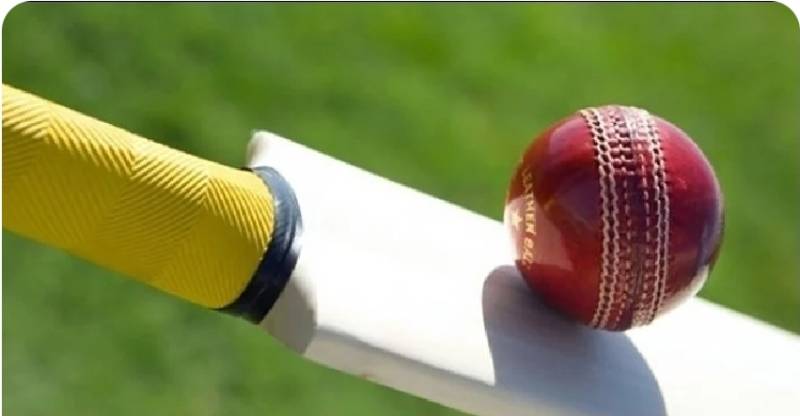 Indian cricketer died on pitch while batting