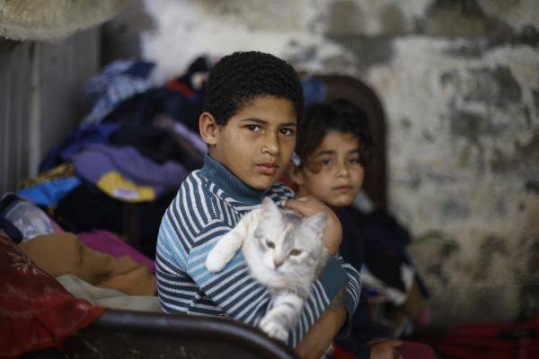 UN warns worst human crisis in Gaza after Israelis inhumane acts