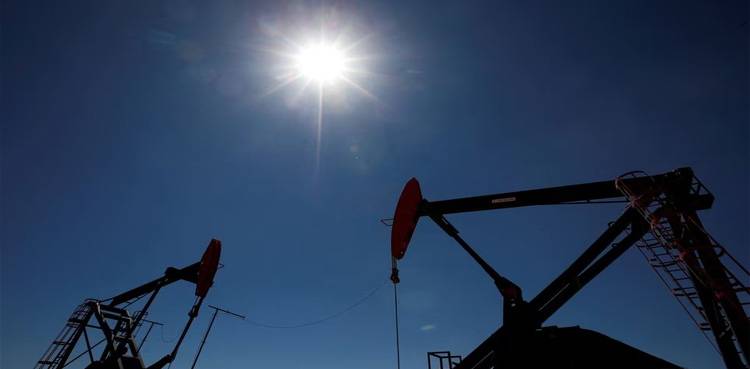 Significant increase recorded in the Oil Prices