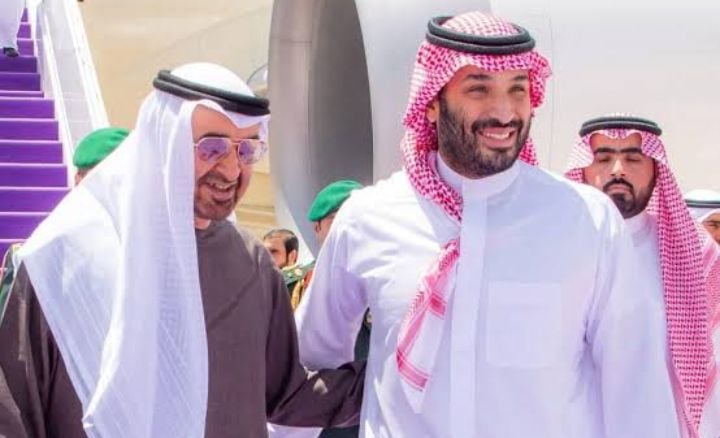 Former Saudi Shura Council Member Accuses UAE of Jealousy and Hostile Intent Toward Kingdom