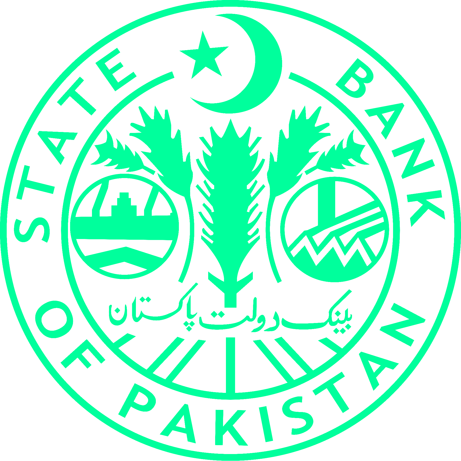 Pakistan’s Foreign Reserves Surge: A Beacon of Economic Hope