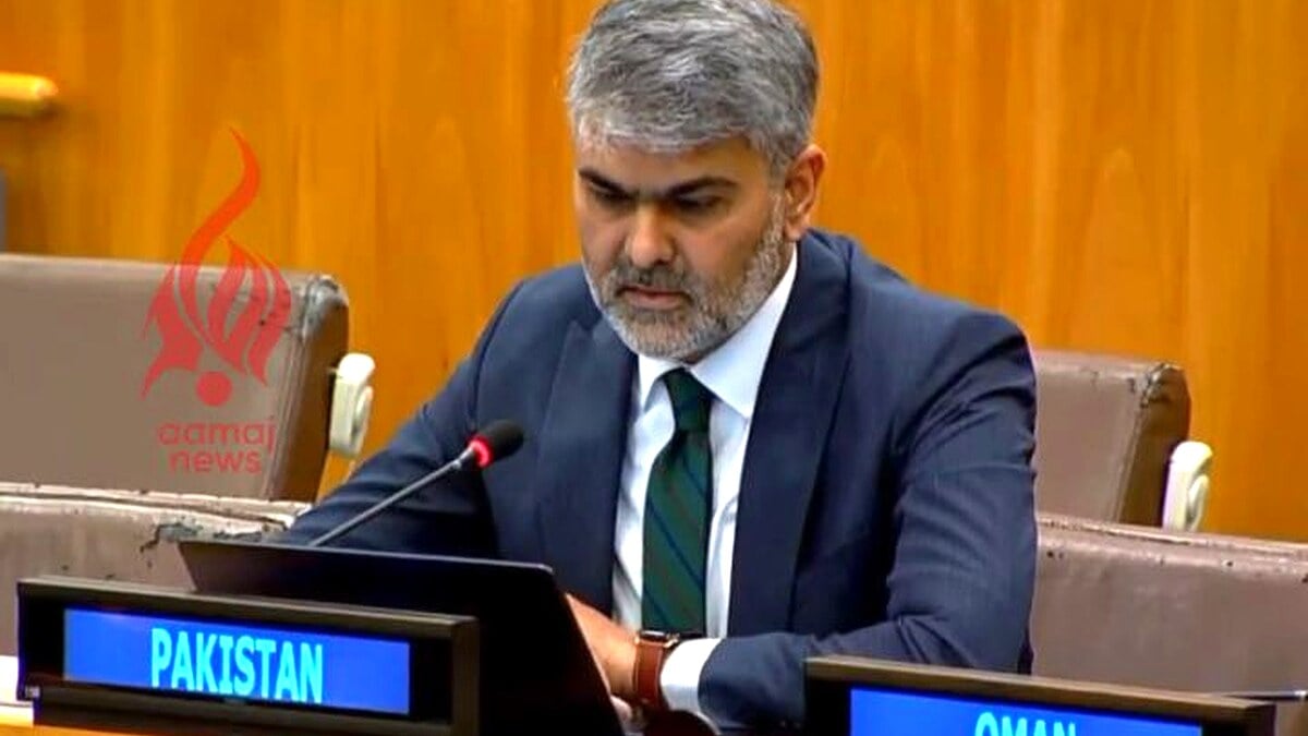 Pakistan Voices Serious Concern Over Illicit Arms Stockpiles in Afghanistan at UN Meeting