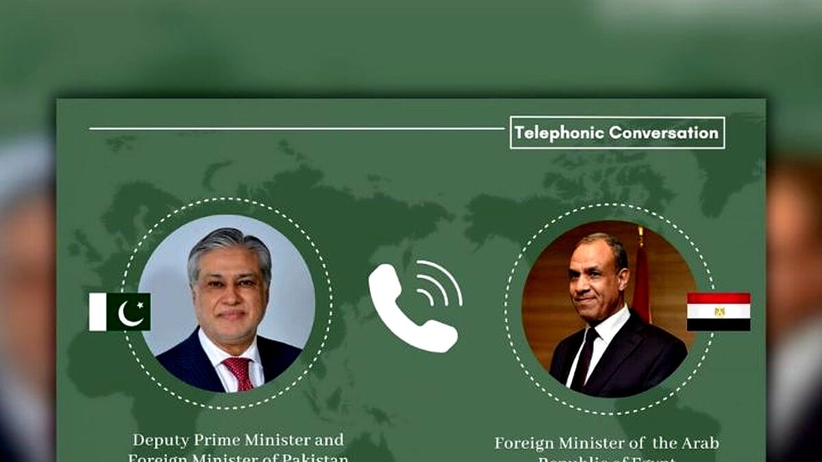 پاکستان اور مصر نے UNGA میں تعلقات کو مستحکم کیا پاکستان اور مصر نے UNGA میں تعلقات کو مستحکم کیا